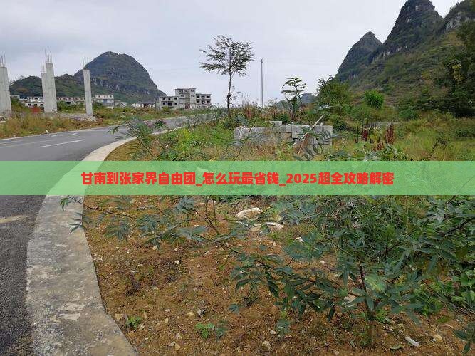 甘南到张家界自由团