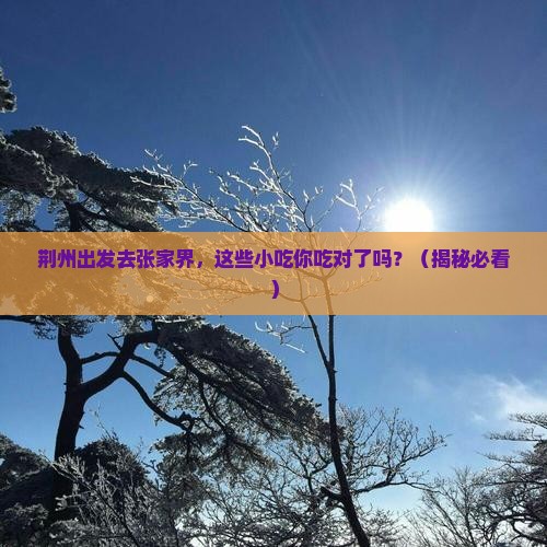 荆州到张家界旅游小吃