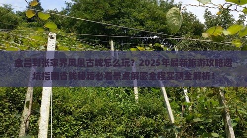 金昌到张家界凤凰古城哪里玩