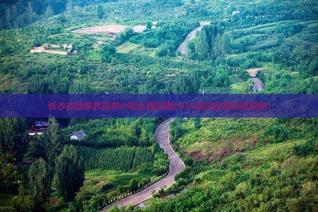 长沙去张家界旅游小吃