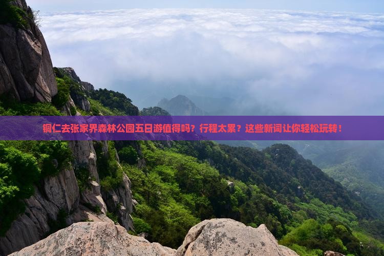 铜仁去张家界森林公园五日游