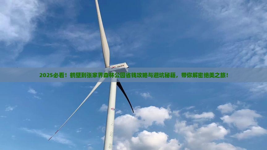 鹤壁到张家界森林公园旅行社