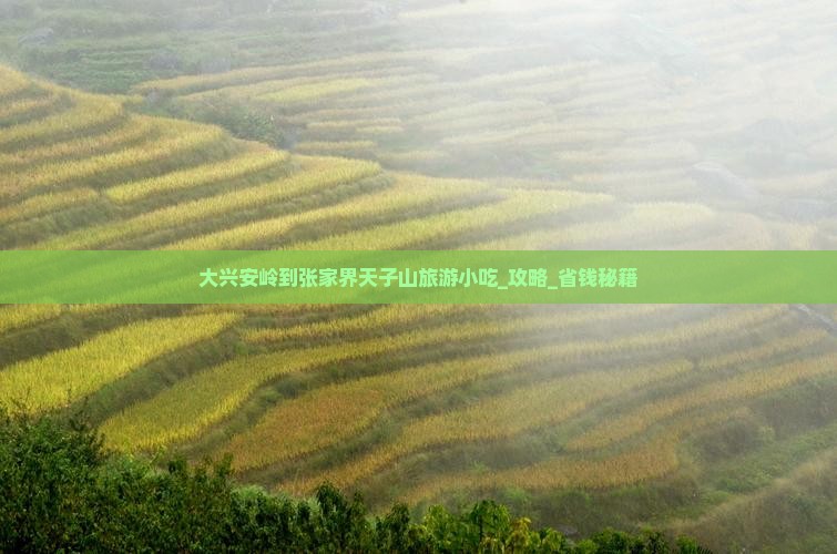 大兴安岭到张家界天子山旅游小吃
