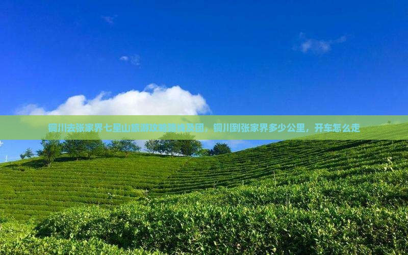 铜川去张家界七星山旅游