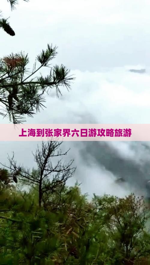 上海到张家界六日游