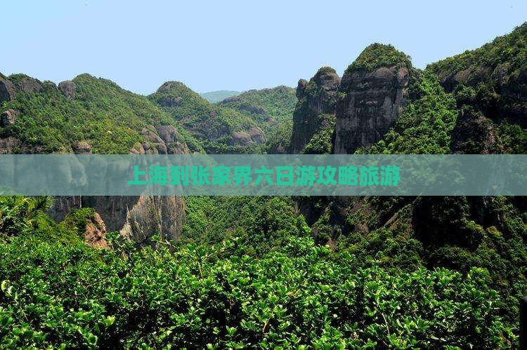 上海到张家界六日游
