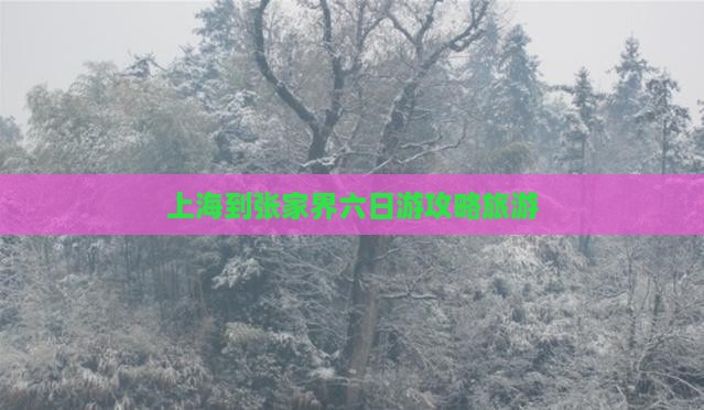 上海到张家界六日游