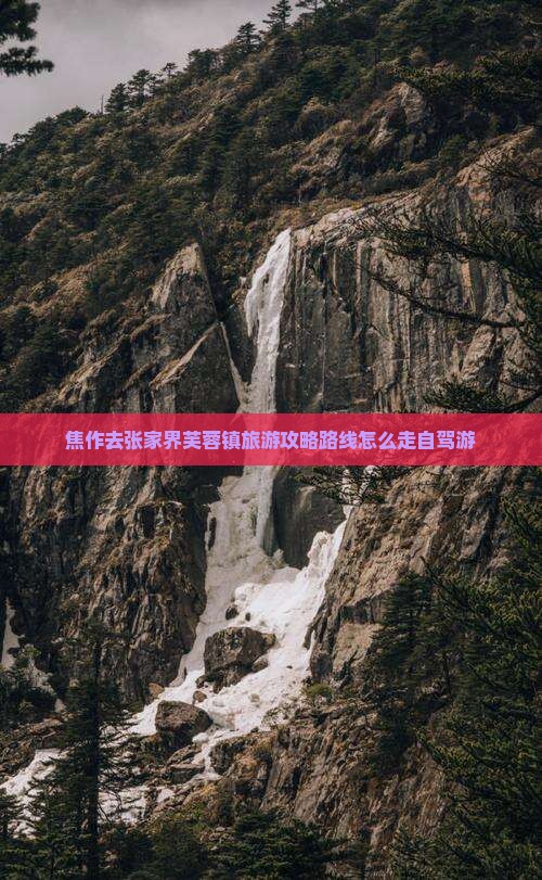 焦作去张家界芙蓉镇旅游