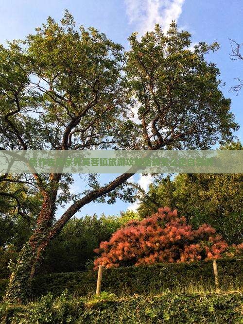 焦作去张家界芙蓉镇旅游