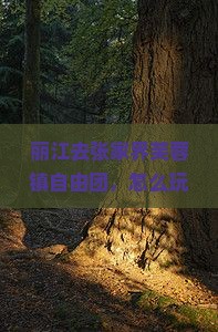 丽江去张家界芙蓉镇自由团