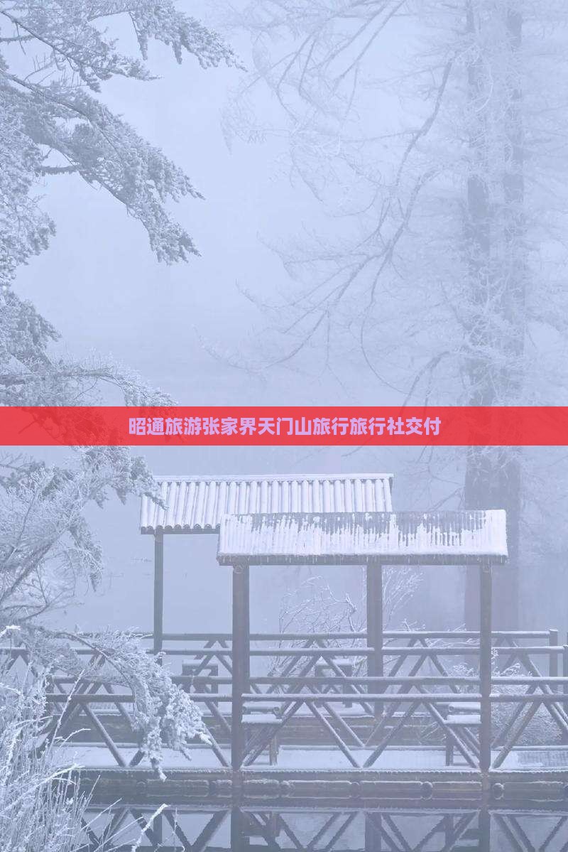 昭通去张家界天门山旅行社
