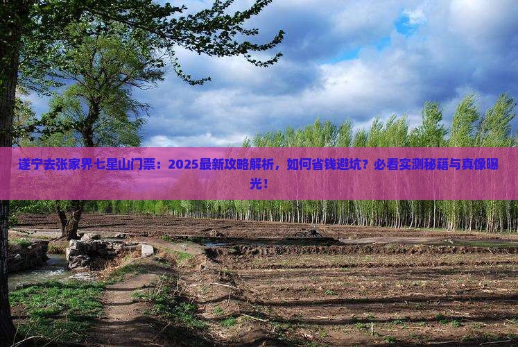 遂宁去张家界七星山门票