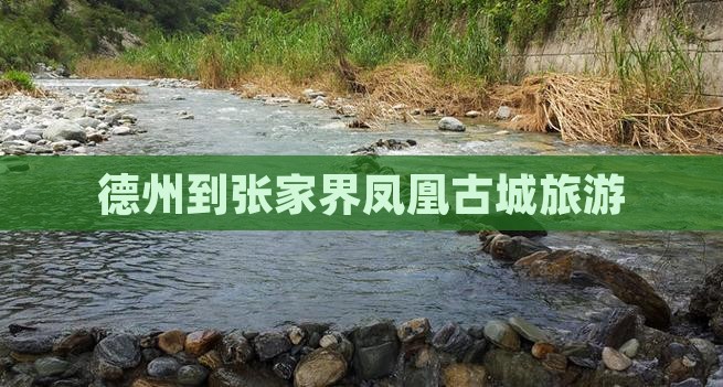 德州到张家界凤凰古城旅游
