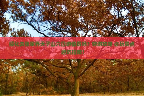绥化去张家界天子山六日游