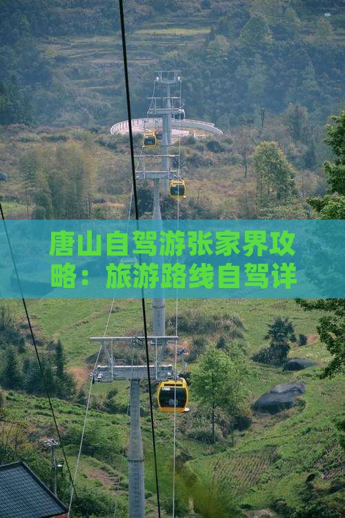 唐山去张家界森林公园景点