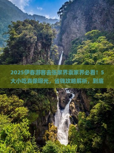伊春去张家界袁家界旅游小吃