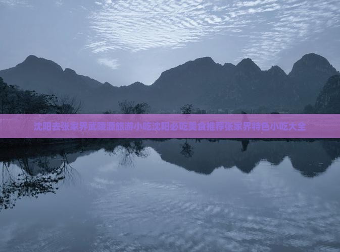 沈阳去张家界武陵源旅游小吃