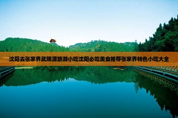 沈阳去张家界武陵源旅游小吃