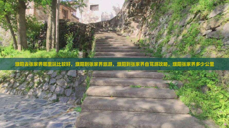 濮阳去张家界哪里玩