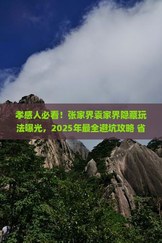 孝感到张家界袁家界景点
