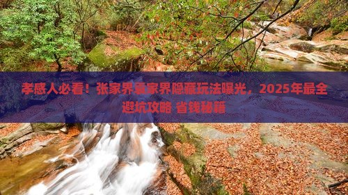 孝感到张家界袁家界景点
