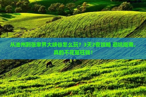 池州到张家界大峡谷景点