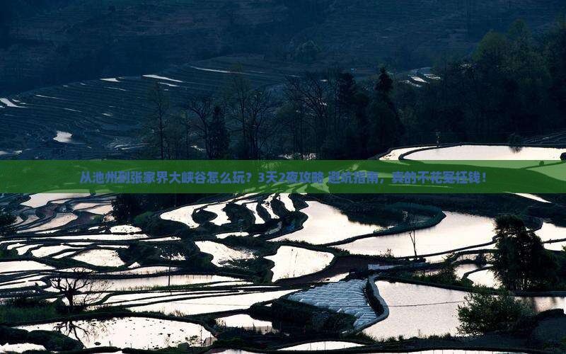 池州到张家界大峡谷景点