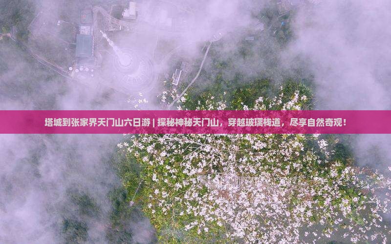 塔城到张家界天门山六日游
