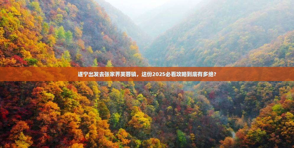 遂宁到张家界芙蓉镇自由行