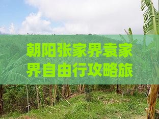 朝阳去张家界袁家界自由行