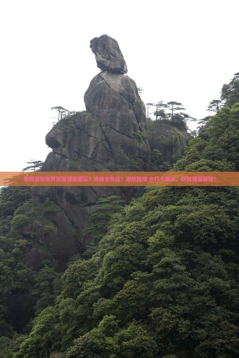南阳去张家界武陵源哪里玩