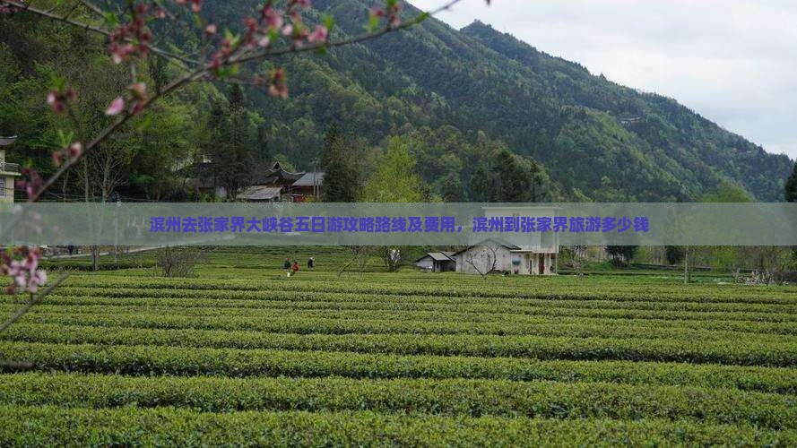 滨州去张家界大峡谷五日游