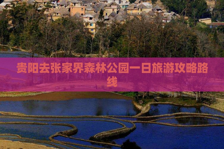 贵阳去张家界森林公园一日