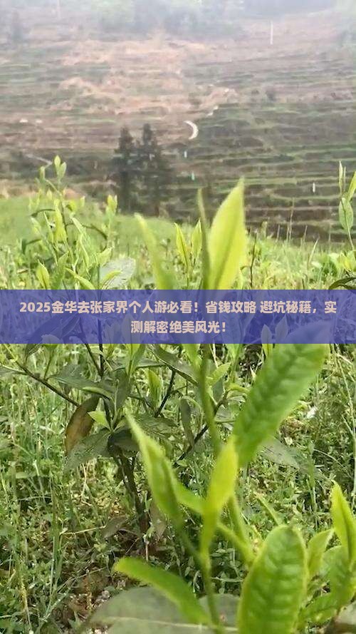金华去张家界个人游
