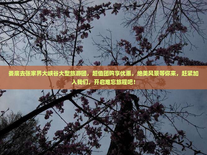 娄底去张家界大峡谷大型旅游团
