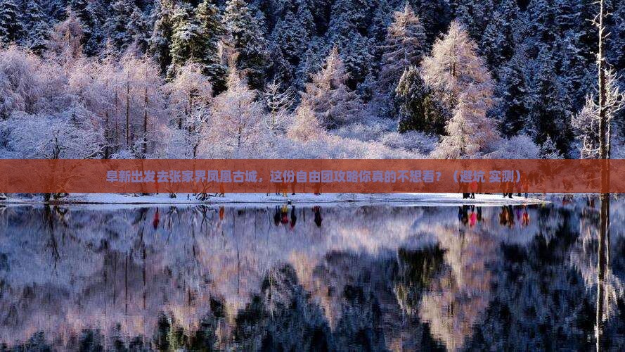 阜新去张家界凤凰古城自由团