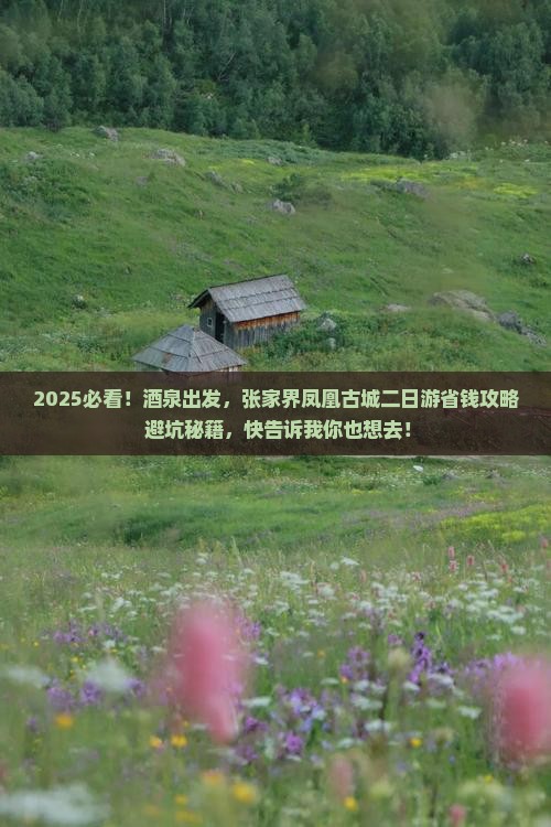 酒泉去张家界凤凰古城二日游