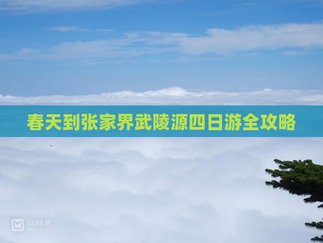 春天到张家界武陵源四日游