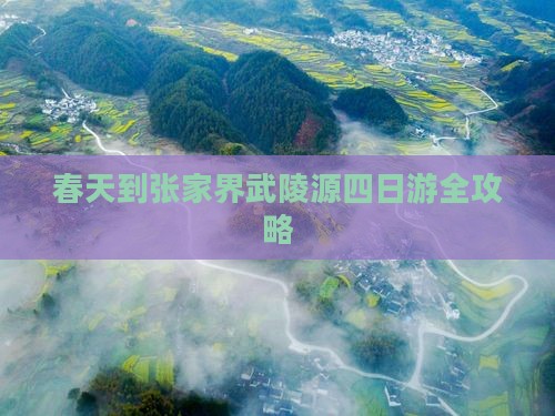 春天到张家界武陵源四日游