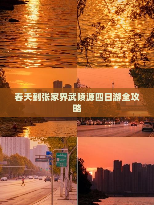 春天到张家界武陵源四日游