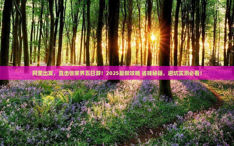 阿里到张家界五日游