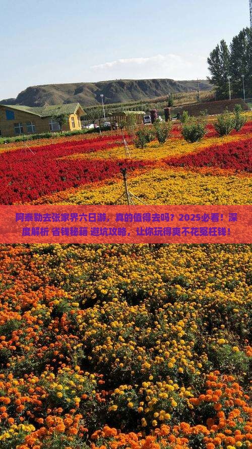 阿泰勒去张家界六日游 阿泰勒去张家界六日游