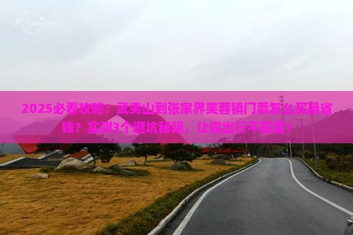 武夷山去张家界芙蓉镇门票