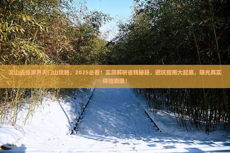 文山去张家界天门山攻略