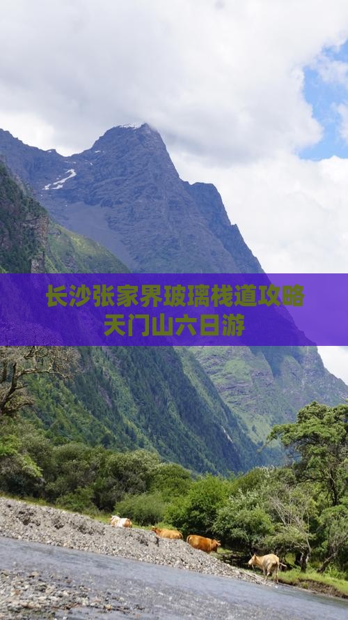 长沙去张家界玻璃栈道六日游