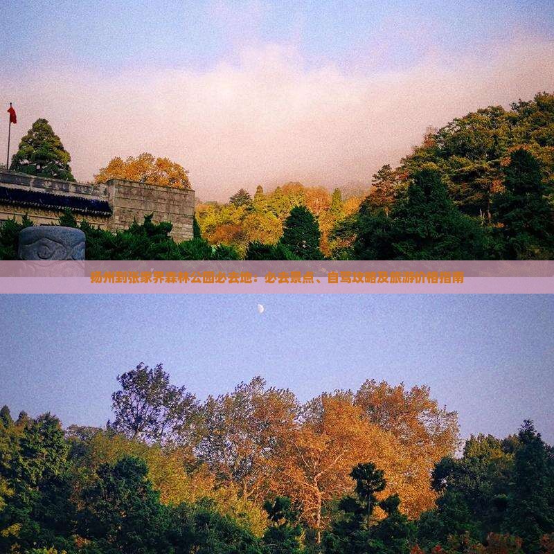 扬州到张家界森林公园必去地