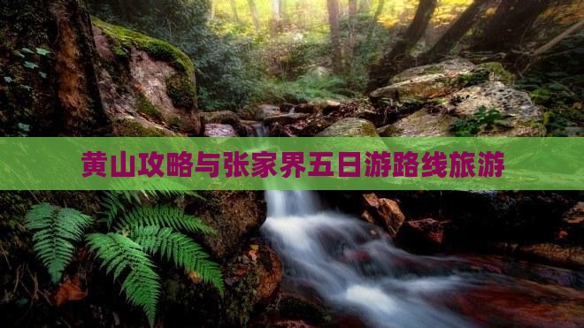 黄山去张家界五日游