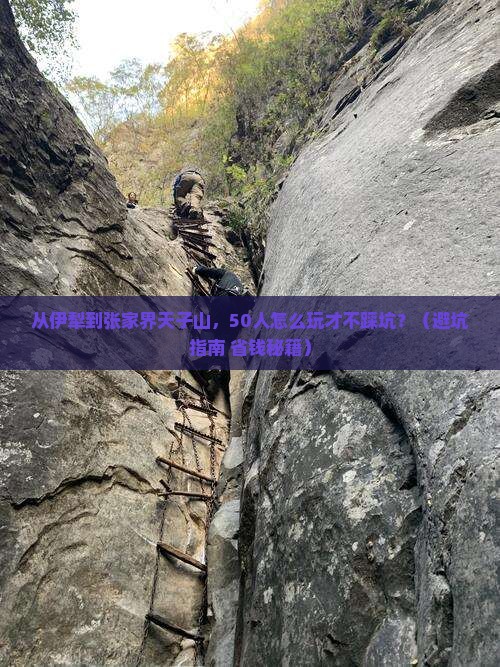 伊犁到张家界天子山团体旅游