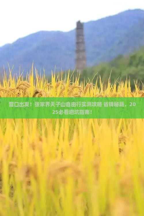 营口到张家界天子山自由团 营口到张家界天子山自由团