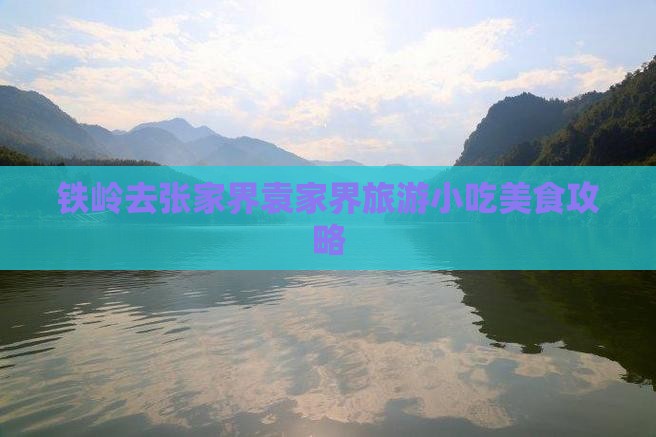 铁岭去张家界袁家界旅游小吃